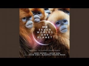 Seven Worlds One Planet Suite