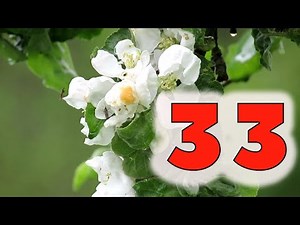 Немножко старше