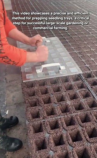 Precision Seedbed Preparation: Master the Multi-Dibber Technique