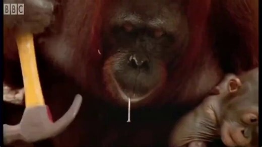 Claude watching me write code manually after I hit the daily limit