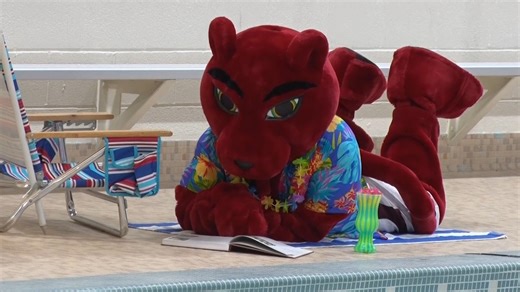 1K views · 26 reactions | One week left until Giving Day!  Who's excited? Take action now at: https://www.givecampus.com/schools/SpringfieldCollege/giving-day-2024. Join the movement and help make an impact. #CommunityMatters #GivingBack #ItTakesAllOfUs #MaroonGives #SpringfieldCollege | Springfield College | Facebook