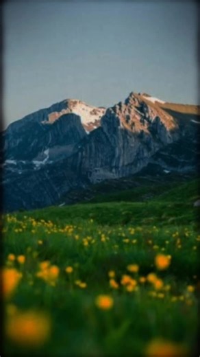 How to Gain 20k Followers on TikTok