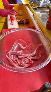 13M views · 35K reactions | The Most Exotic Seafood In South Korea | Grilled Salted Hagfish | Namaste India | Facebook