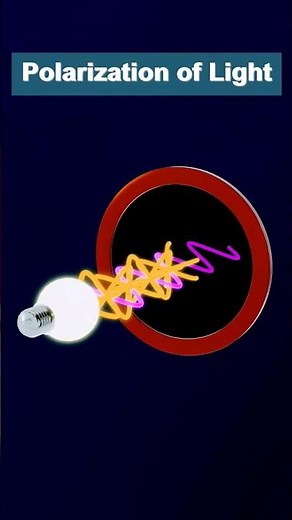 Polarization of light #optics #polaroid #animation #physics #physicsanimation #polarizer