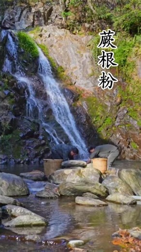 what is survive nature best videos best nature realistic short#shorts #nature #forest