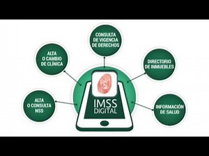 IMSS Digital