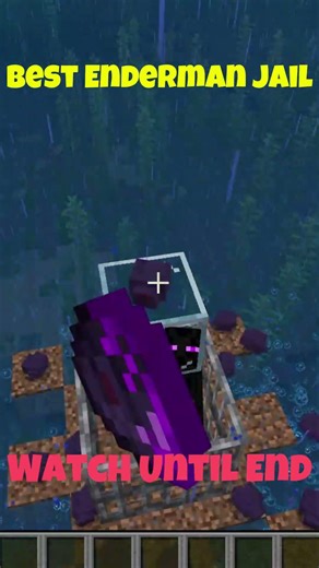 The Best Enderman Jail