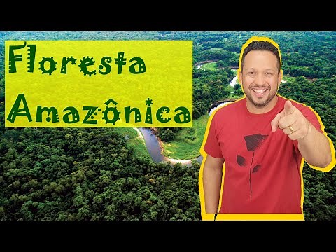 Floresta Amazônica - Características gerais, Fauna, Flora e Adaptações - Bioma Brasileiro - Ecologia