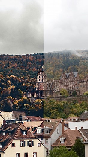 how to make your photos look like DARK ACADEMIA! 📚📸 . . . (disclaimer: this is simply a guideline to your edit, and results may change depending on your photo!) . . . #darkacademia #aesthetic #lightroompresets | Ayitsphotography