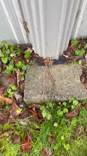 Above Ground Pool Electrical Inspection Guide