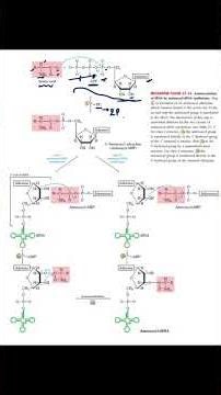 Aminiacylation of tRNA||GATE 2026||Dr Manisha Sinha||