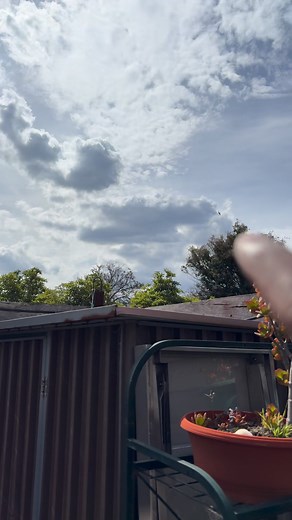 381 reactions · 14 shares | Alien ships #AlienMummy | Janaka Senevirathne | Facebook