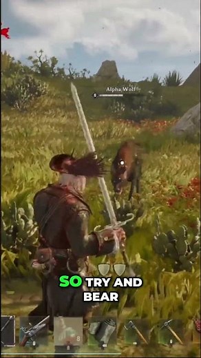 Explaining Damage Types & Stat Scaling in WIndrose! #shorts