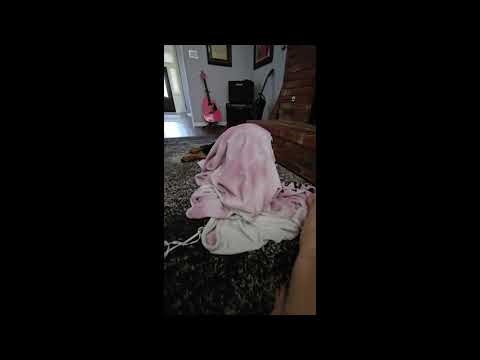 How to stop your Rottweiler from biting. #funnydogs #funny #dog