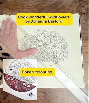 Book „enchanted forest, special edition“ by Johanna Basford. Bokeh colouring