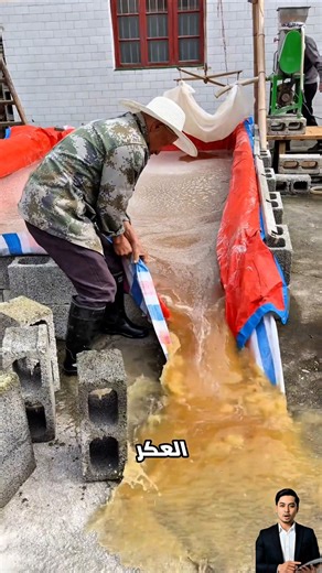 خطوة الشطف في عملية إنتاج نشا البطاطا الحلوة التقليدية😨 #shorts