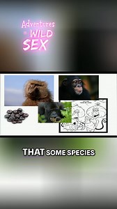 3.8K views · 57 reactions | Millions of women use hormonal birth...