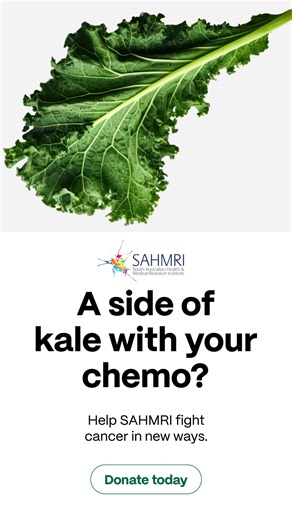 SAHMRI’s cancer researchers are looking at the influence of gut health on cancer recovery. 🥦 Our research is showing excellent promise but we need your help to push it forward. Donate today 💰 | SAHMRI