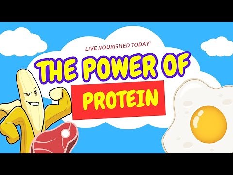 The Power of Protein! Fun Quiz & Learning for Kids