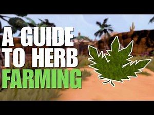 This Guide Will Make Farming In RuneScape Profitable! | Money Making & Ironman Friendly.