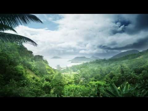 Rainforest Sound effect