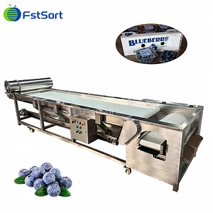 [Hot Item] Fruit Grading Equipment Blueberry Sizing Machine Blackberry Sorting Machine Precision Fruit Sorting Machine