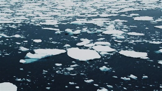 Zbyt ciasny system / Outgrow the System (2023) - Cały Film Lektor PL