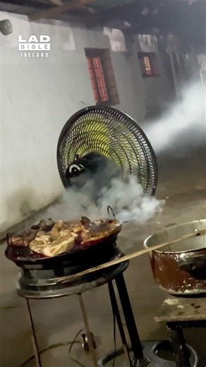 Making the Neighbours Jealous 👀🤣