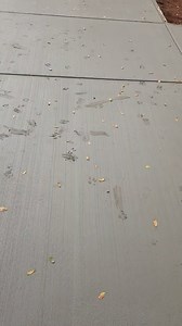Concrete Video (Funny)