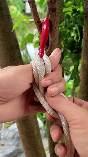 Self-Tightening Knot! #knotskill #shortvideo #diy #tips