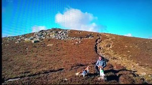 78K views · 7K reactions | On the eve of Max’s 12th birthday and...