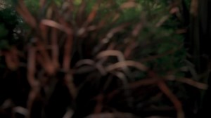 ET04.Cellular 2004 720p BluRay.Cima4U