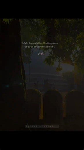 Ashzzzzz✨️❤️‍🩹 (@wht.r.u.looking.fo)’s videos with original sound - Ashzzzzz✨️❤️‍🩹