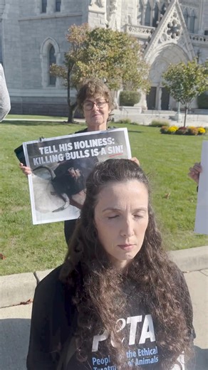 St. Francis of Assisi, the patron saint of animals, believed all creatures were blessed by God. He wouldn’t have stood by while bulls are publicly tortured & killed in the ring. Pope Francis must denounce this cruelty in his name. #FeastDayOfStFrancis | PETA (People for the Ethical Treatment of Animals)