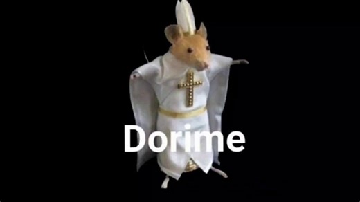 Dorime Rat / Rato Dorime | Know Your Meme