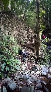 1.4K reactions · 137 shares | Why settle for one when you can enjoy two pairs for the price of one?  Forget shipping fees and overpriced shoes — with Hike Balance, you get comfort, support, and real relief without the extra cost. Join 100,000+ Americans who finally said goodbye to foot pain and hello to freedom. For a limited time: Buy 1 pair, Get 1 FREE.  Don’t wait — comfort is better in twos! https://try.hikebalance.com/hike-balance/pre-us-bogo | Ortho Balance | Facebook