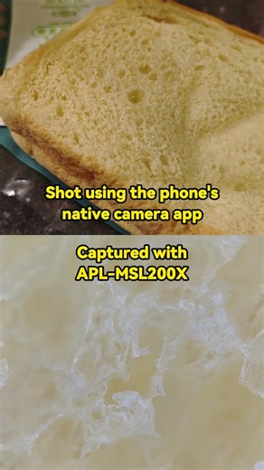 You Won’t Recognize These Everyday Objects Under Magnification #apexel