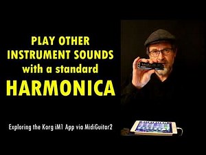 PLAY SOUNDS OF OTHER INSTRUMENTS with a STD. HARMONICA - Brendan Power