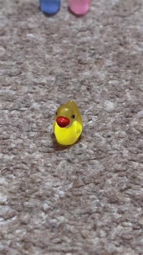 “No more ducking ducks”. #fyp #ducks #foryou #lol #hidetheducks