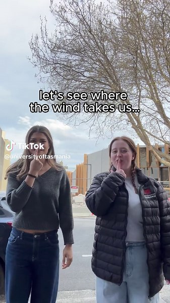 see you in Feb 2026 🌳 📌 The Forest, Hobart #hobart #midtownhobart #tasmania