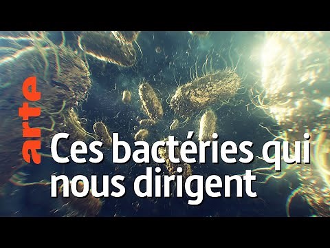 Jusqu'au fond de son être | Une espèce à part #9 | ARTE