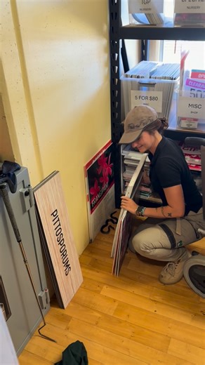 Venomous vs Poisonous. Do you know the difference? Snake catchers get asked about “poisonous snakes” daily! There is something off with that sentence… Poisonous should be swapped out with Venomous. To put it simply; 💉 Venom is INJECTED - a bite, a scratch or a sting. 🦂🐝🐍 Poison is INGESTED (or soaked through the skin) - think about food poisoning, or dangerous chemicals on the skin. 🐸🐡🧪 But not all venom works the same, and will affect your body differently to others! Ie, Marsh and Golden