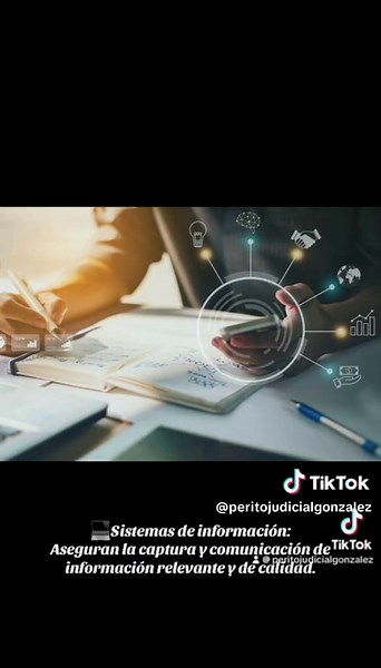 Elementos del Control Interno: Estrategias Clave