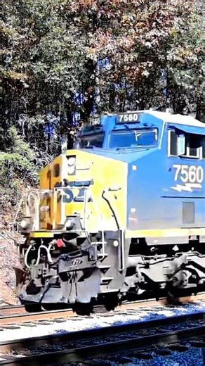 CSX intermodal train in the perfect lighting conditions