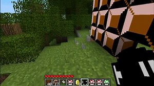Super Mario Mod for Minecraft