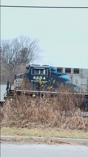 Capture Of The NS Blue Mane #locomotive