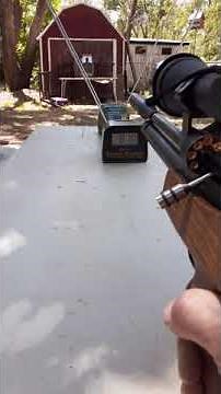 Diana Bandit .22 cal Chrony test Gamo Gold 9.8gr. Raptors. avg. 833fps!