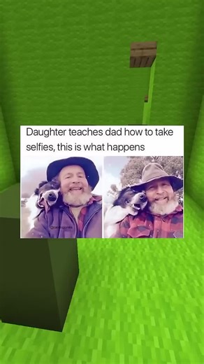 Dogs are among the most loyal and loving animals, often considered a part of the family by their owners. They have been domesticated for thousands of years, originally serving as hunting companions, herders, and guards, but today, they fill a wide range of roles, including therapy animals, search-and-rescue workers, and loyal pets. With their keen senses, intelligence, and ability to form deep emotional bonds, dogs have an incredible way of understanding human emotions and responding with affect