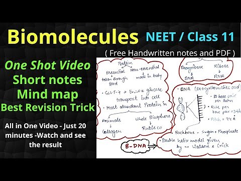Biomolecules One shot Video Mind map Class 11 Chapter 9 Best revision for NEET notes Full NCERT