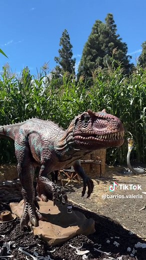 Dinosaur Pumpkin Patch Fun in Orange County